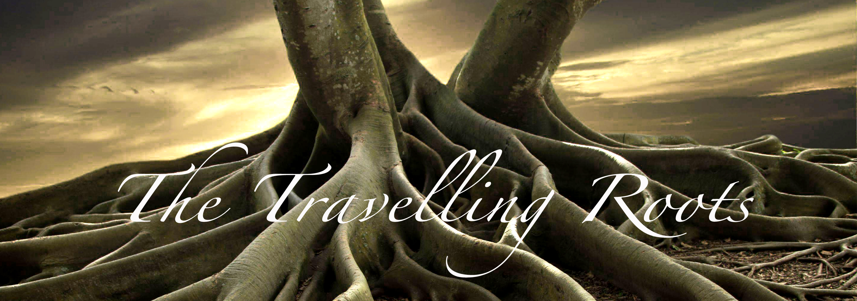 The Travelling Roots